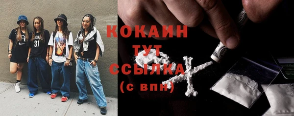соль ск Кодинск