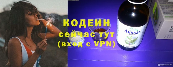 соль ск Кодинск