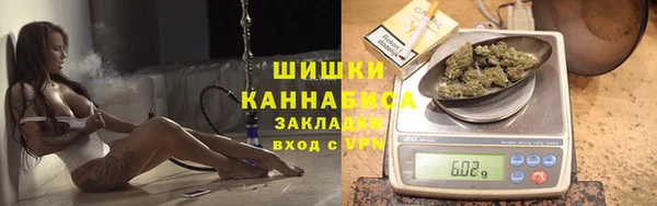 стаф Козельск