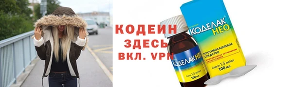 стаф Козельск