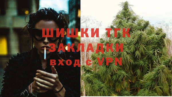 стаф Козельск