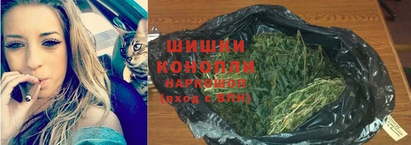 шишки Козловка