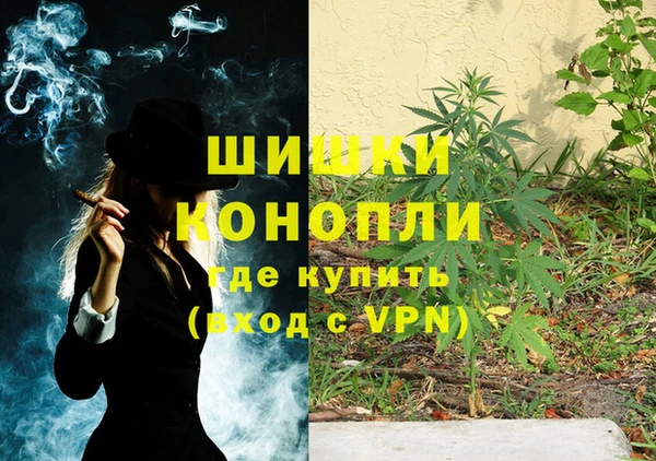 шишки Козловка
