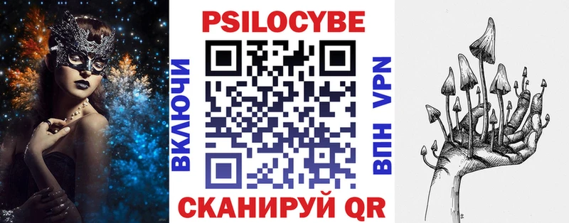 магазин продажи наркотиков  Бирюсинск  Псилоцибиновые грибы прущие грибы 